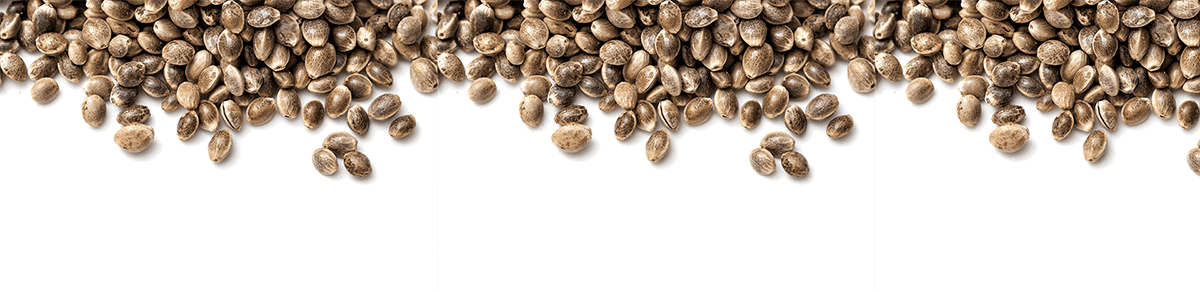 Industrial hemp cbd